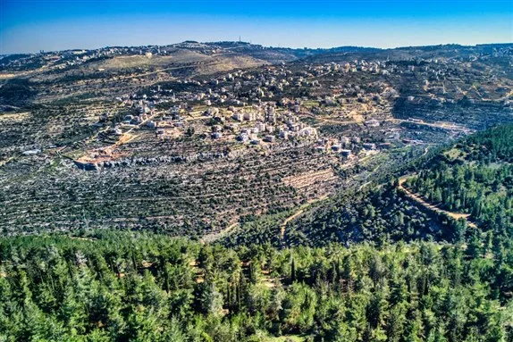 The village of Battir as viewed from a hill.